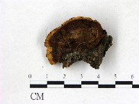 登錄號:F0006838藏品圖，第3張