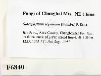 登錄號:F0006840藏品圖，第2張