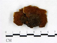 登錄號:F0006840藏品圖，第3張