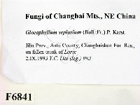 登錄號:F0006841藏品圖，第2張