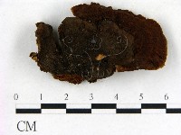 登錄號:F0006841藏品圖，第1張