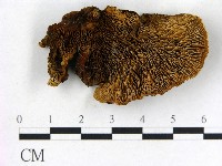 登錄號:F0006841藏品圖，第3張