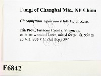 登錄號:F0006842藏品圖，第2張