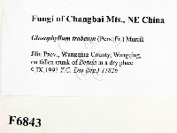 登錄號:F0006843藏品圖，第2張