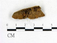 登錄號:F0006843藏品圖，第1張