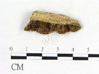 登錄號:F0006843藏品圖，第3張