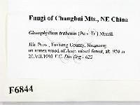 登錄號:F0006844藏品圖，第2張