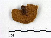 登錄號:F0006844藏品圖，第3張