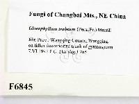 登錄號:F0006845藏品圖，第2張