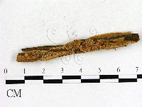 登錄號:F0006845藏品圖，第1張