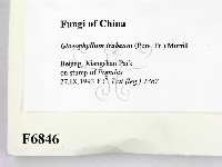 登錄號:F0006846藏品圖，第2張