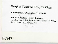 登錄號:F0006847藏品圖，第2張