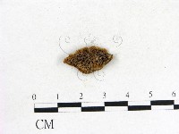 登錄號:F0006847藏品圖，第1張