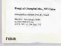 登錄號:F0006848藏品圖，第2張