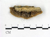 登錄號:F0006848藏品圖，第1張