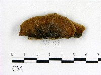 登錄號:F0006848藏品圖，第3張