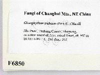 登錄號:F0006850藏品圖，第2張