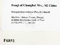 登錄號:F0006851藏品圖，第2張