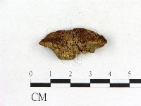 登錄號:F0006851藏品圖，第1張