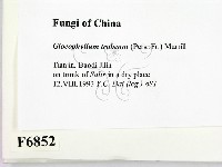 登錄號:F0006852藏品圖，第2張