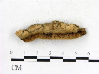 登錄號:F0006852藏品圖，第1張