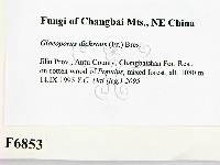 登錄號:F0006853藏品圖，第2張