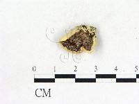 登錄號:F0006853藏品圖，第1張