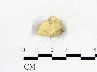 登錄號:F0006853藏品圖，第3張