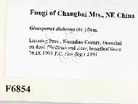 登錄號:F0006854藏品圖，第2張