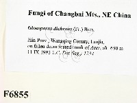 登錄號:F0006855藏品圖，第2張