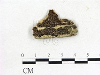 登錄號:F0006855藏品圖，第1張