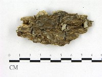 登錄號:F0006856藏品圖，第1張