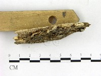 登錄號:F0006856藏品圖，第3張