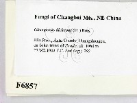 登錄號:F0006857藏品圖，第2張