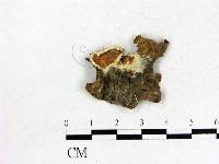 登錄號:F0006857藏品圖，第1張