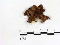 登錄號:F0006857藏品圖，第3張