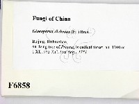 登錄號:F0006858藏品圖，第2張