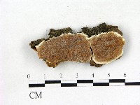 登錄號:F0006858藏品圖，第1張