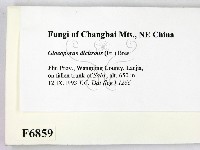 登錄號:F0006859藏品圖，第2張