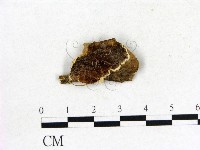 登錄號:F0006859藏品圖，第1張