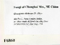 登錄號:F0006860藏品圖，第2張