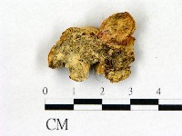 登錄號:F0006860藏品圖，第3張