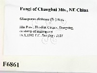 登錄號:F0006861藏品圖，第2張