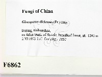 登錄號:F0006862藏品圖，第2張