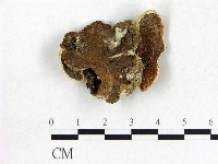 登錄號:F0006862藏品圖，第1張