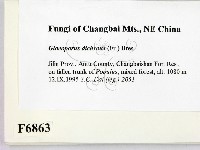 登錄號:F0006863藏品圖，第2張