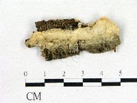 登錄號:F0006863藏品圖，第1張