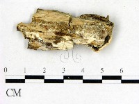 登錄號:F0006863藏品圖，第3張