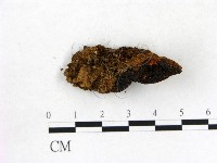 登錄號:F0006864藏品圖，第1張