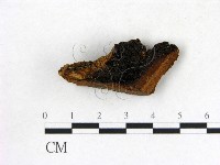 登錄號:F0006864藏品圖，第3張